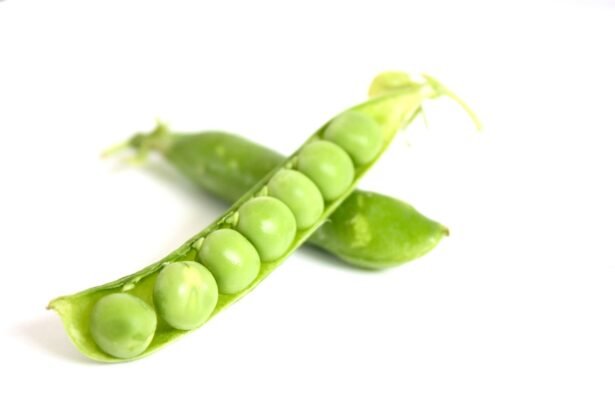 Garai korai