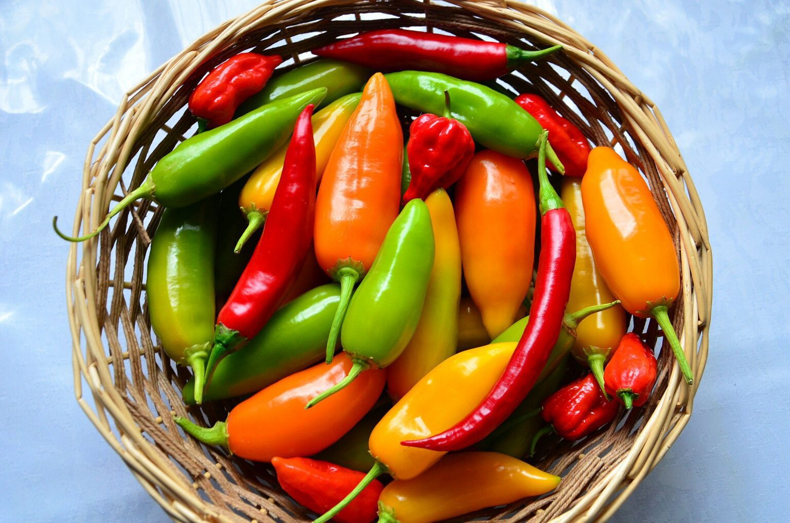 chili