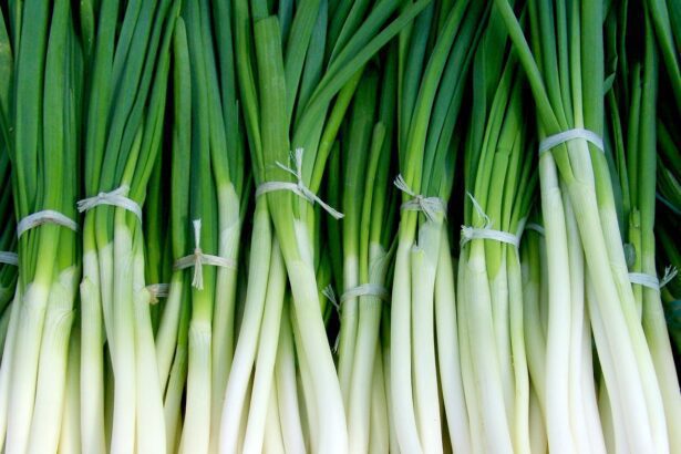 Tétényi áttelelő