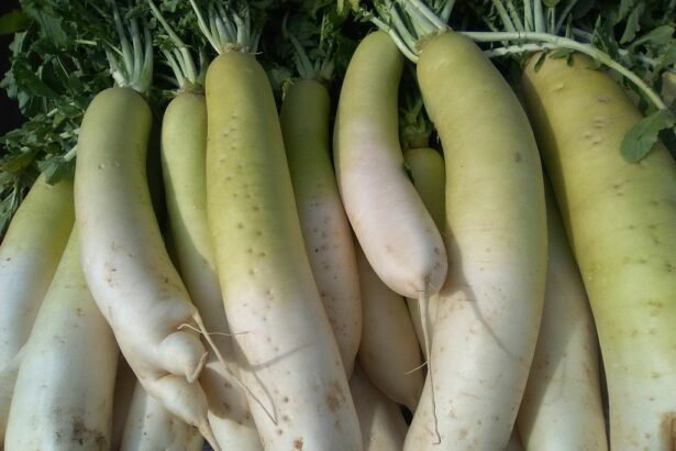 müncheni sör retek