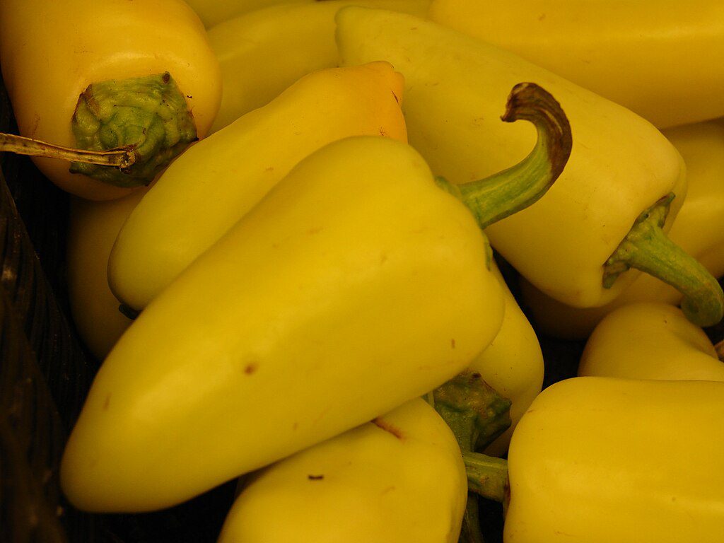 Fehérözön paprika termesztése