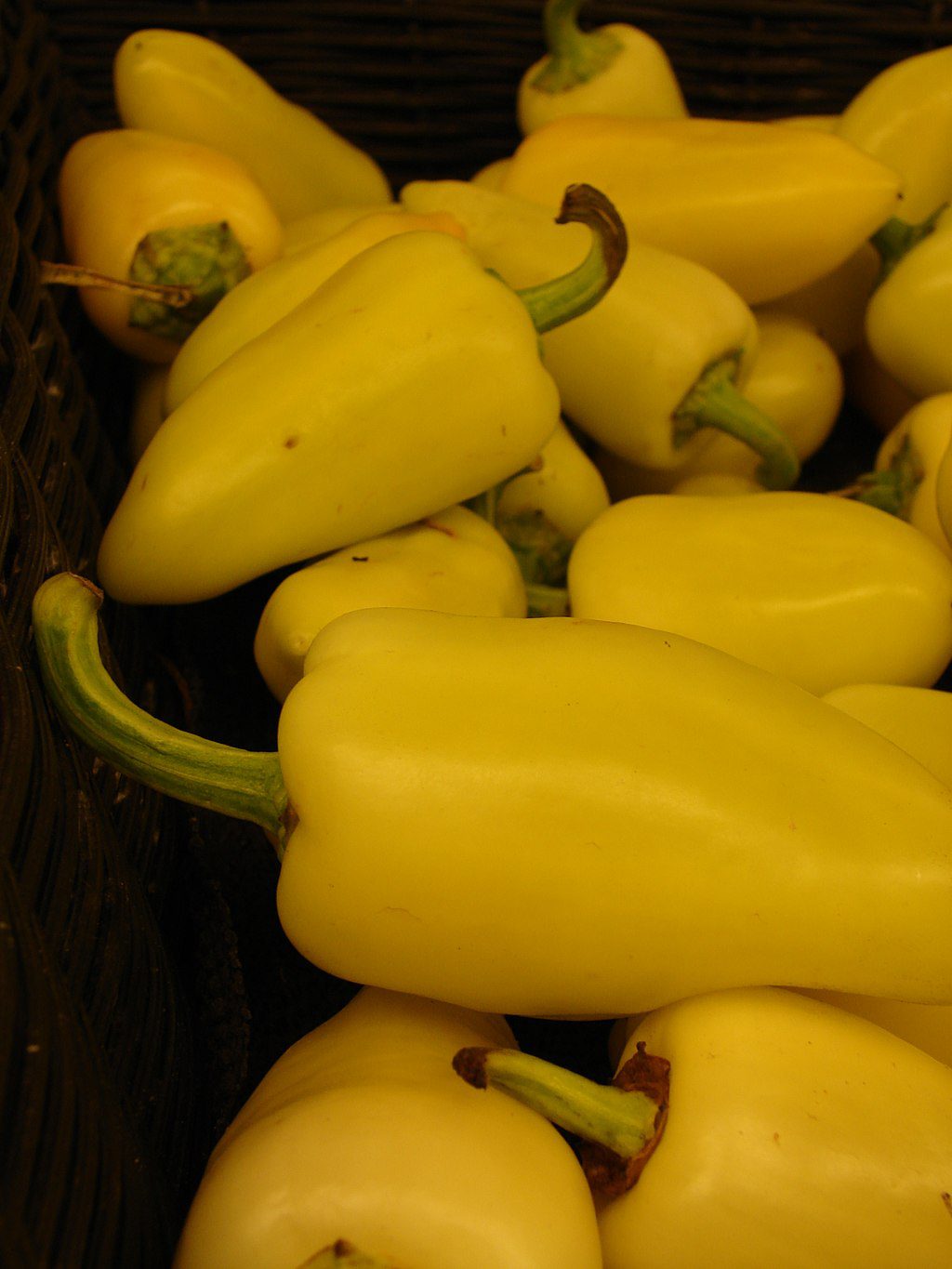 Bácskai fehér paprika termesztése