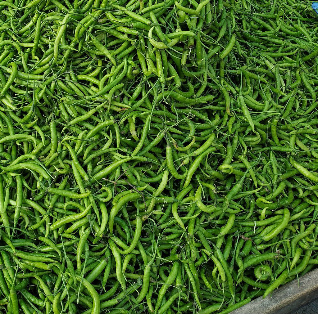 A Csípős spirál paprika termesztése és bemutatása.