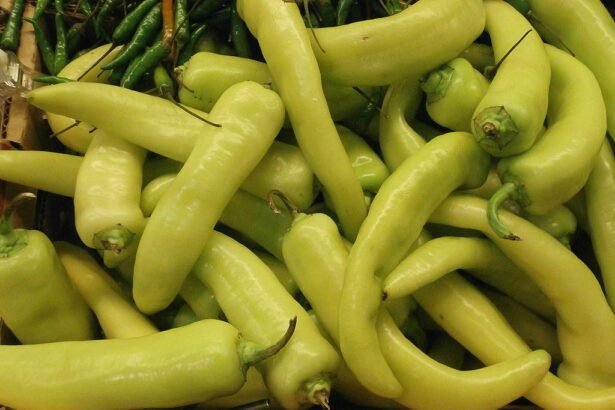 elefántormány paprika