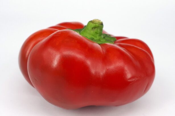 Greygo paprika termesztése és bemutatása