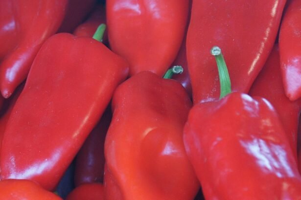 fűszerpaprika termesztése