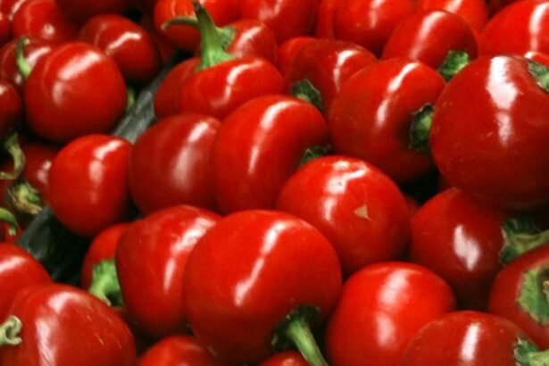 kalocsai lacsony cseresznye paprika