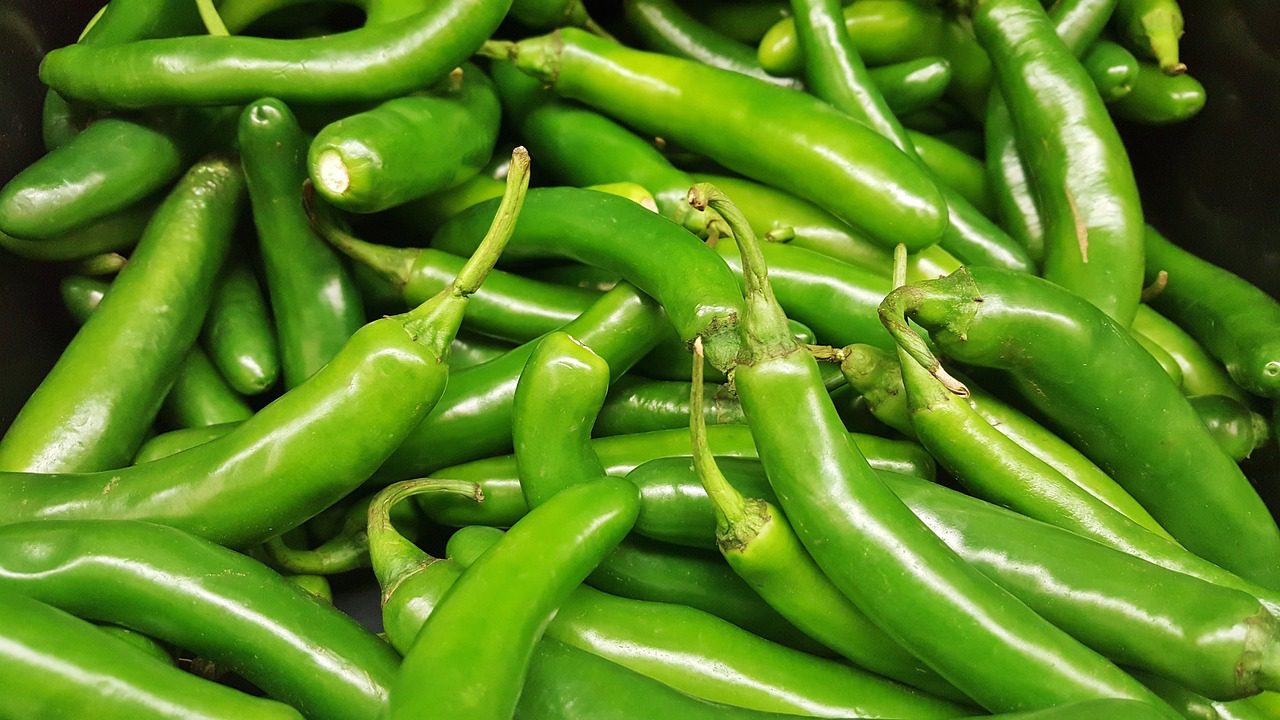 Kecskeszarv paprika termesztése