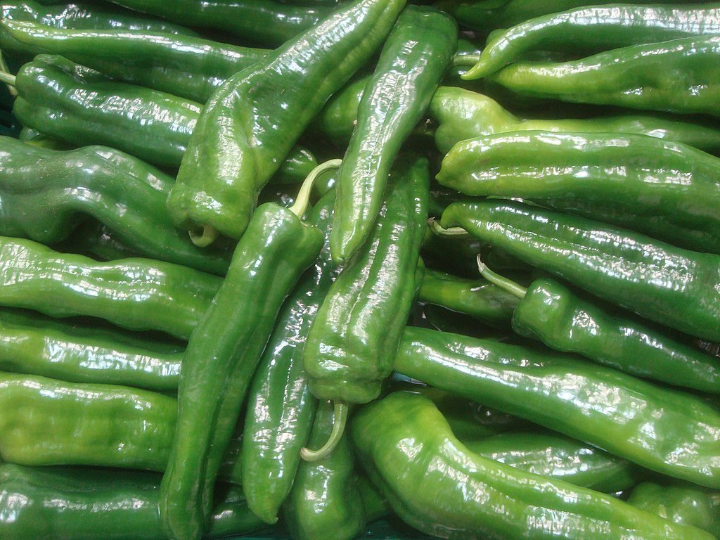 Rapires F1 paprika termesztése