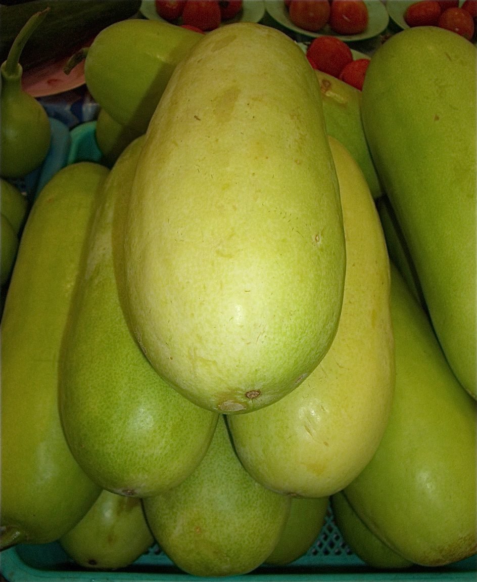 Az Indátlan fehér spárgatök termesztése és bemutatása