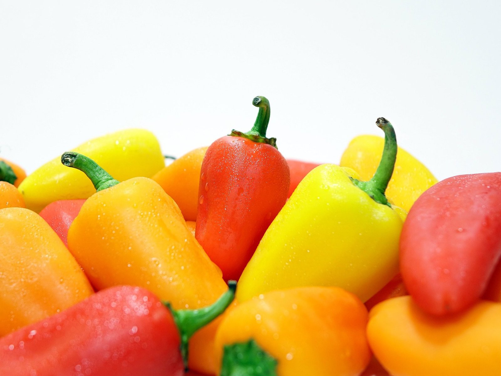 hibrid paprika fajták
