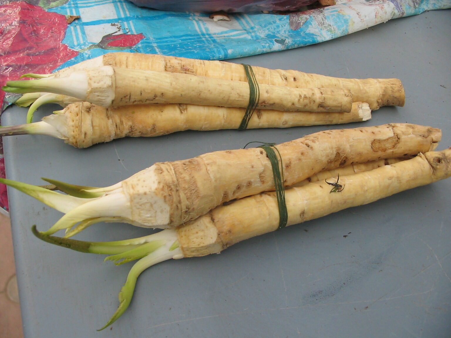 torma