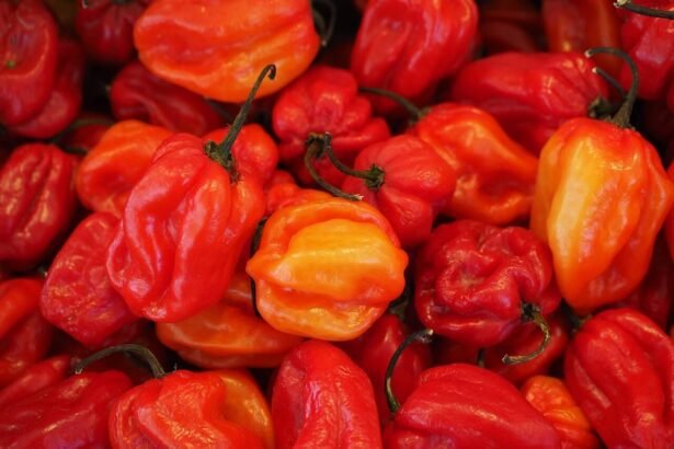 erős paprika hatása