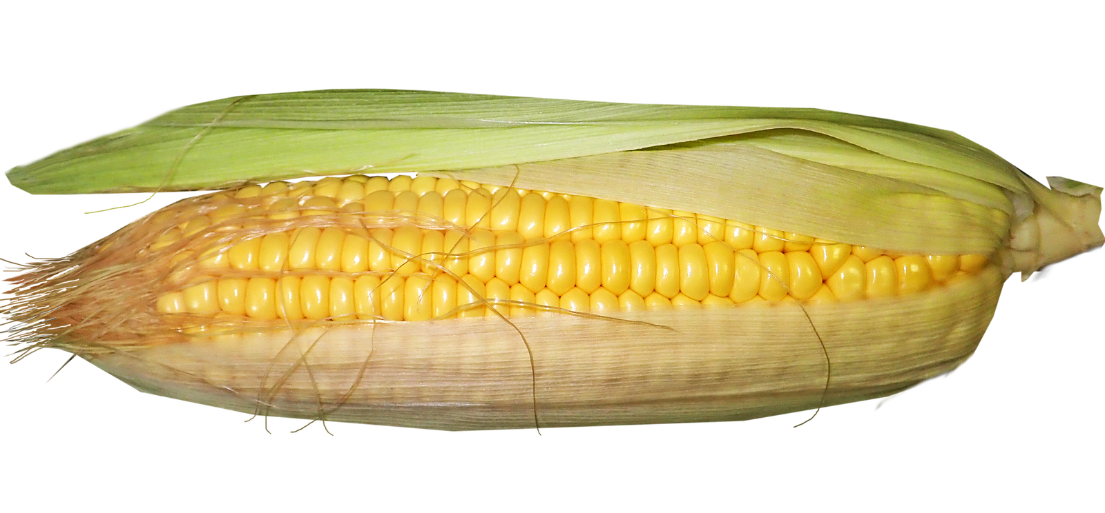 csemegekukorica