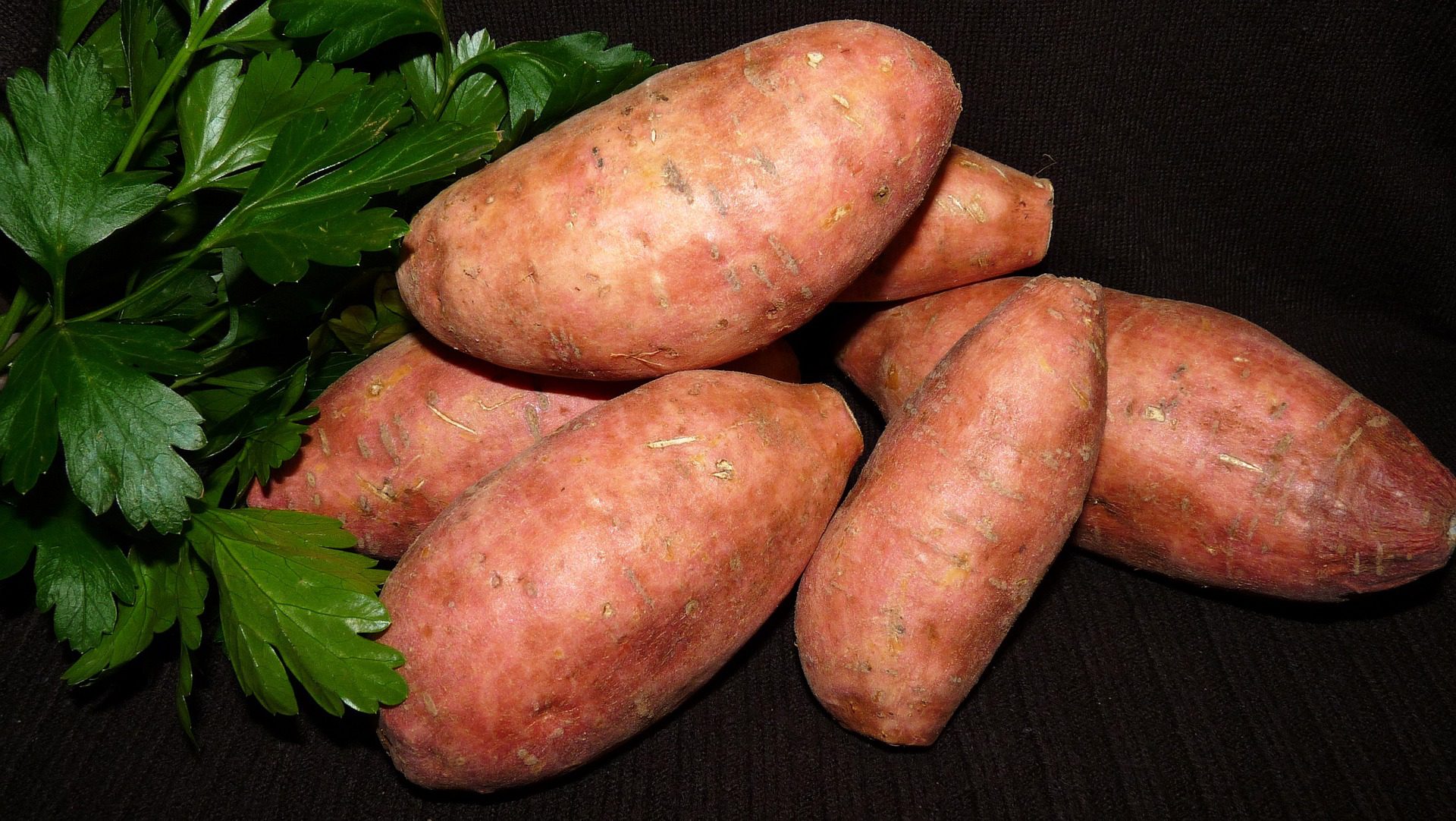 Édesburgonya termesztése és gondozása