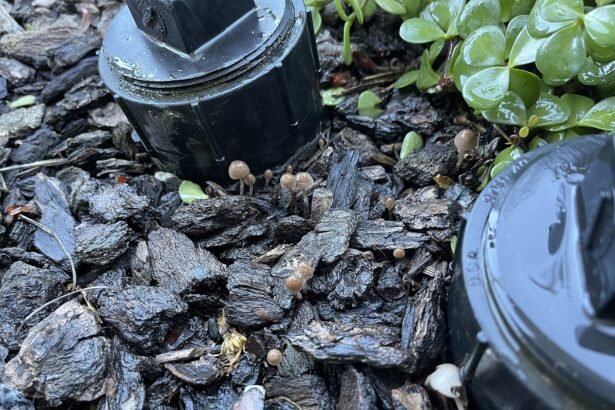 mulcs négyzetméter