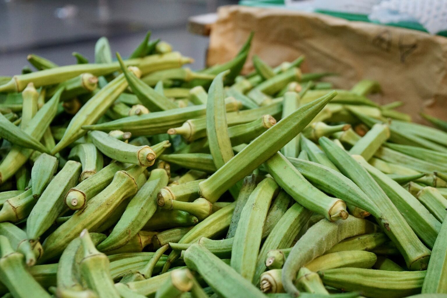 okra termesztése