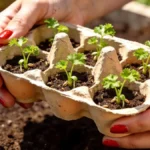 3 kerti teendő március elején, ami megalapozza az egész szezon sikerét