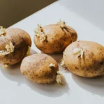 Ehető a csírázott burgonya, vagy inkább dobjuk ki? Elmondja a szakértő