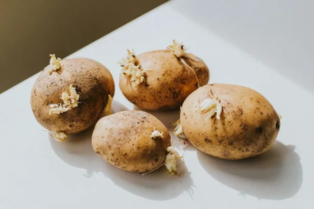 Ehető a csírázott burgonya, vagy inkább dobjuk ki? Elmondja a szakértő