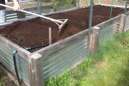 Kertészek esküsznek rá: így lesz gyommentes és szebb a kerted