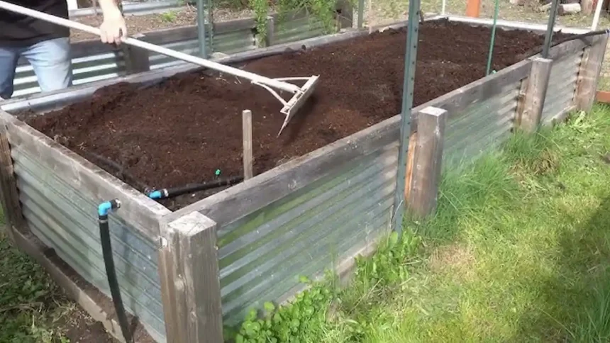 Kertészek esküsznek rá: így lesz gyommentes és szebb a kerted