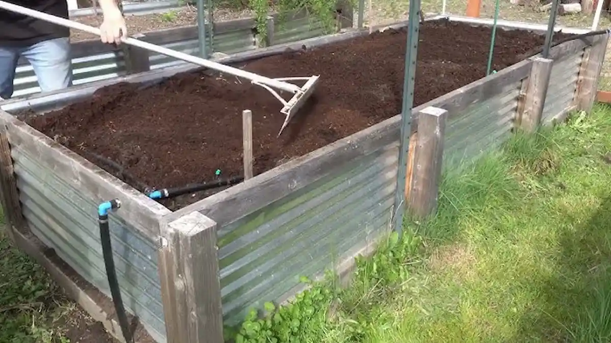 Kertészek esküsznek rá: így lesz gyommentes és szebb a kerted