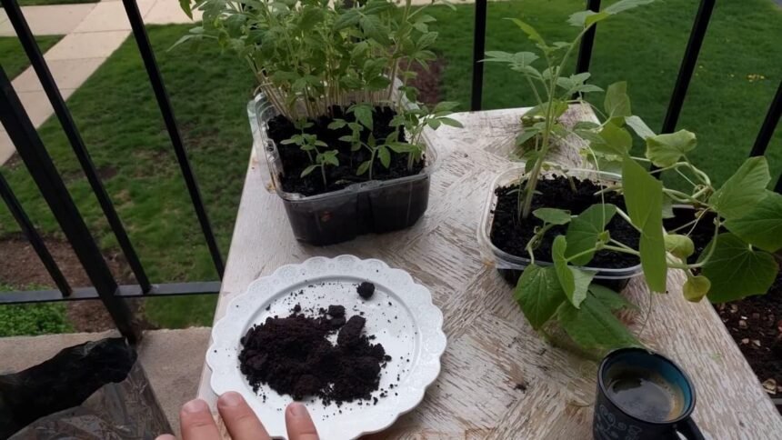 17 növény, amely nagyon szereti a kávézaccot, viszont ezen kívül a többi növénynek ne add