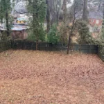 A kertészek titka: ezzel az egyszerű módszerrel akár duplázódhat a termés a kertben