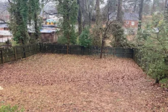 A kertészek titka: ezzel az egyszerű módszerrel akár duplázódhat a termés a kertben