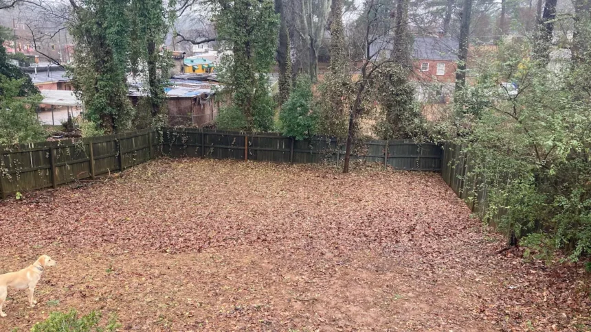 A kertészek titka: ezzel az egyszerű módszerrel akár duplázódhat a termés a kertben