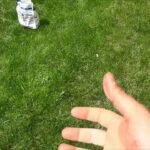 Ezt szórd a fűmag mellé, és brutál gyorsan besűrűsödik a gyeped