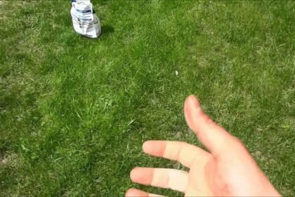 Ezt szórd a fűmag mellé, és brutál gyorsan besűrűsödik a gyeped