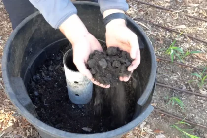 Így ébreszthetjük fel március első 2 hetében a „szunnyadó” komposztot