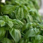 illusztráció – Fotó: Pixabay