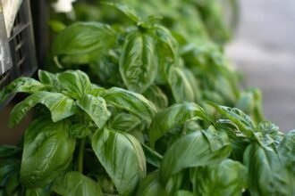 illusztráció – Fotó: Pixabay