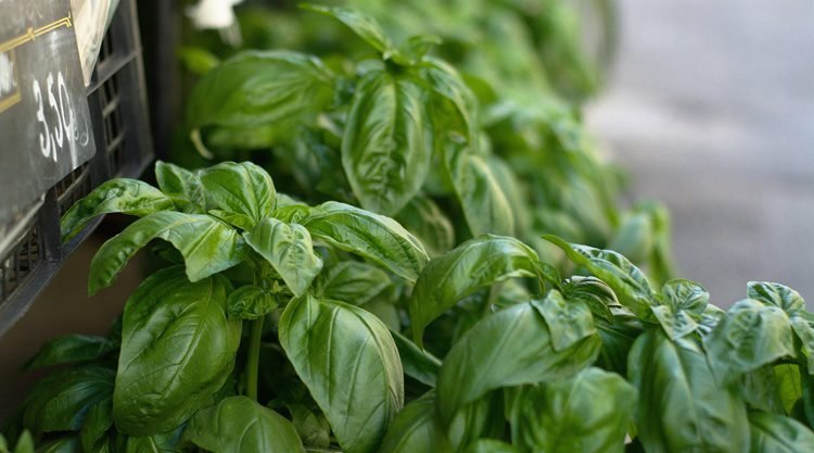 illusztráció – Fotó: Pixabay