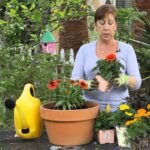 Így válaszd ki a megfelelő kaspót a növényeidnek