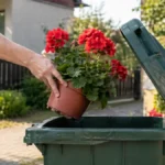 Dobd ki a gagyi muskátlit! Mutatunk 3 sokkal szebb balkonnövényt