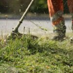 Eltűnik a magyar kertekből a hagyományos pázsit, a magyarok már erre váltanak