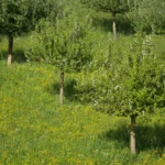 Rendkívüli támogatás érkezik, több mint 4 milliárdot osztanak szét