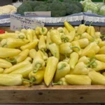 Vastag húsú, méretes és extra roppanós ez paprika, a magyarok mégsem ültetik