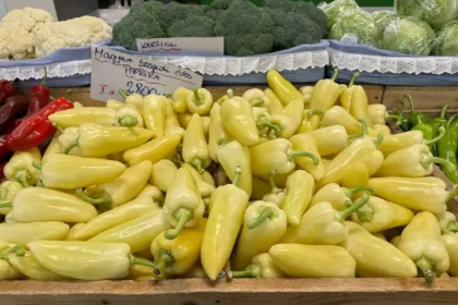 Vastag húsú, méretes és extra roppanós ez paprika, a magyarok mégsem ültetik