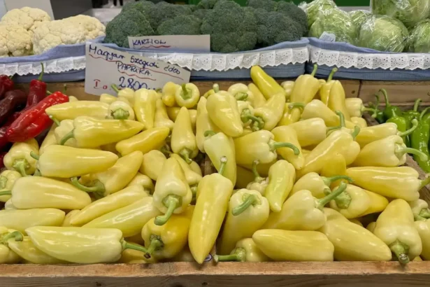 Vastag húsú, méretes és extra roppanós ez paprika, a magyarok mégsem ültetik