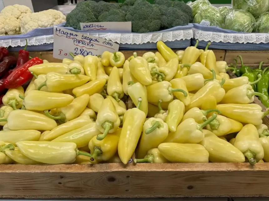 Vastag húsú, méretes és extra roppanós ez paprika, a magyarok mégsem ültetik