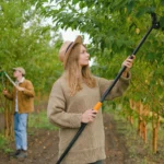 Sokan magyar most rontja el végzetesen – így teszik tönkre a fáikat áprilisban