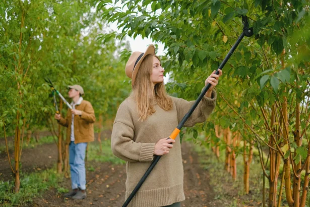 Sokan magyar most rontja el végzetesen – így teszik tönkre a fáikat áprilisban