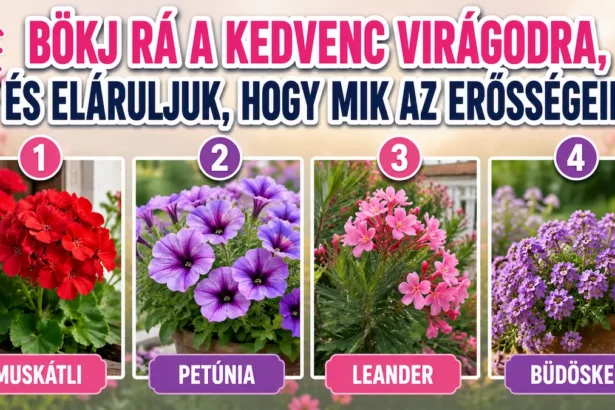 Bökj rá a kedvenc virágodra, és eláruljuk, mik az erősségeid – meglepően sokat elárul rólad a választásod