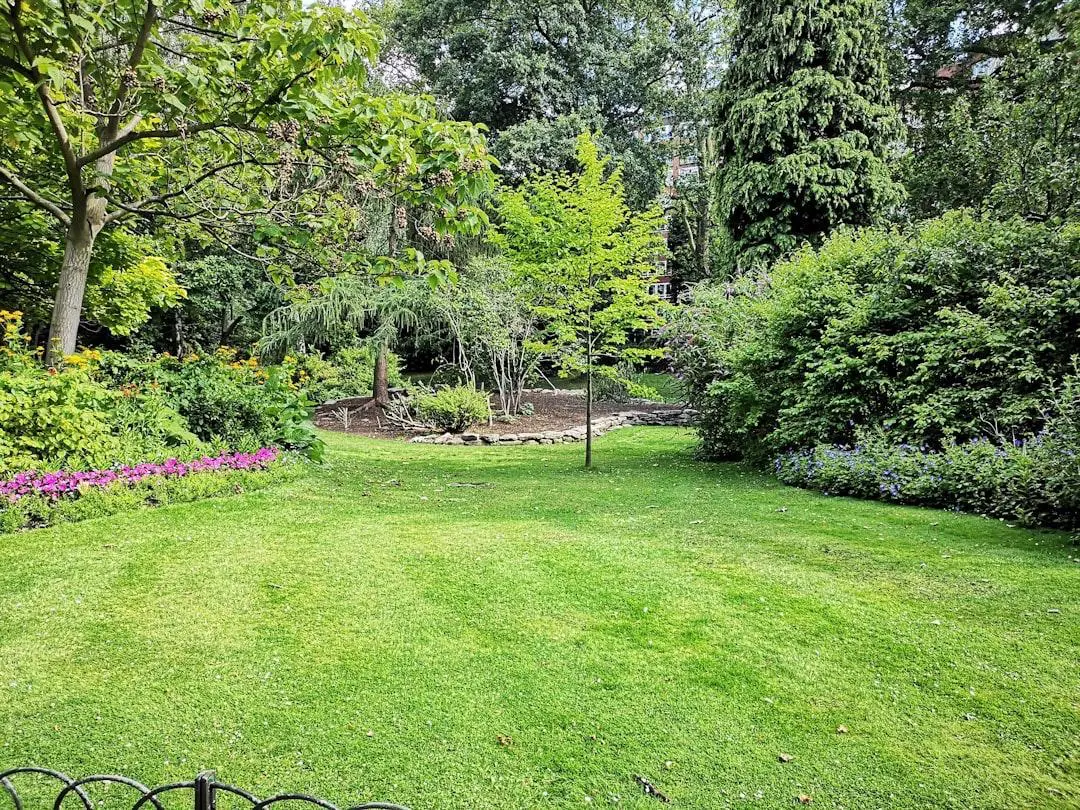 Toronymagasan ez a legjobb trágya a gyepnek, hogy olyan szép zöld legyen, mint egy golfpálya