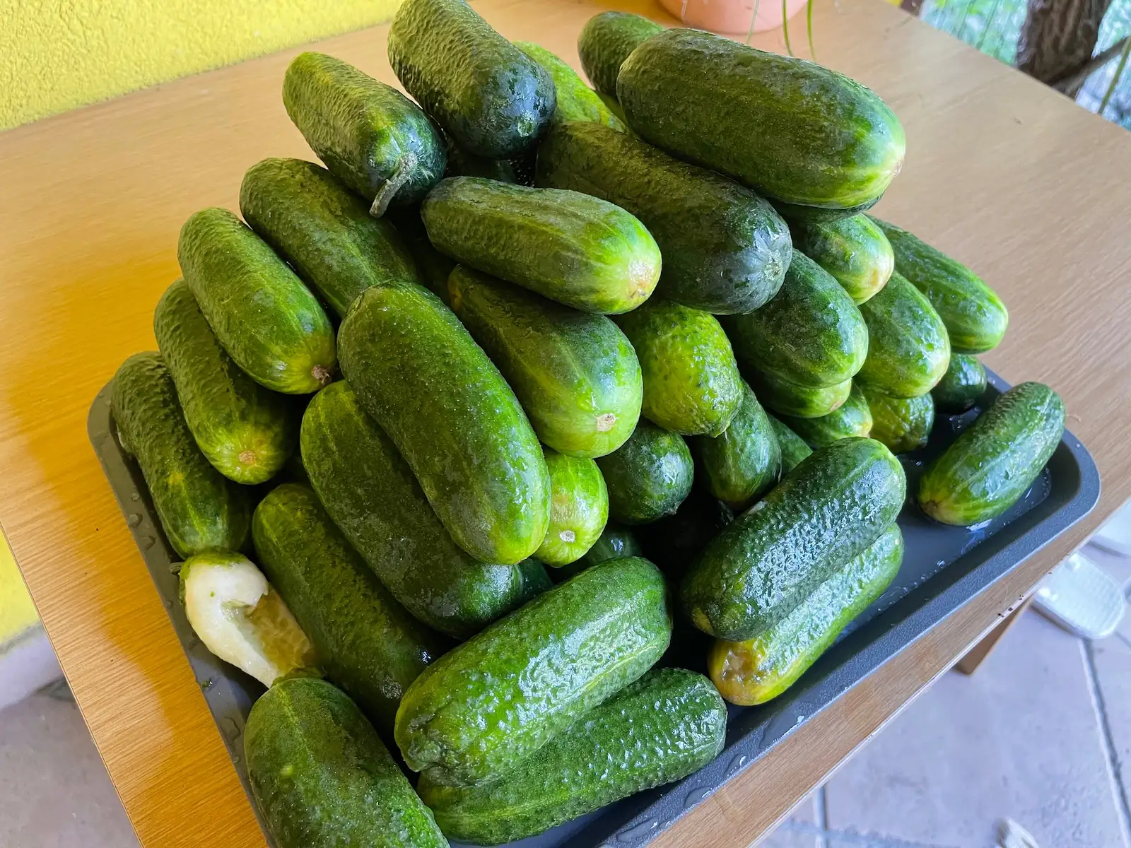 Ha kovászos uborkát készítesz, ezt ne spórold ki belőle, mert ettől lesz igazán ropogós